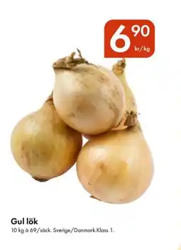 Snabbgross Gul lök erbjuda
