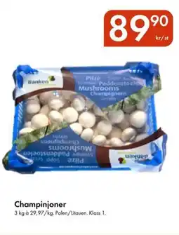 Snabbgross Champinjoner erbjuda