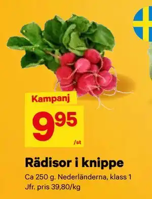 City Gross Rädisor i knippe erbjuda