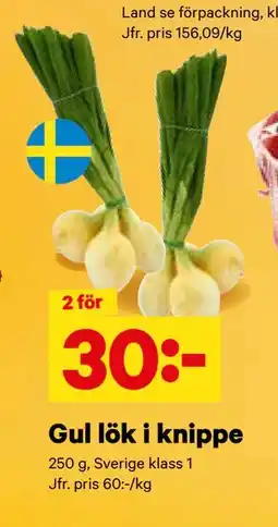 City Gross Gul lök i knippe erbjuda