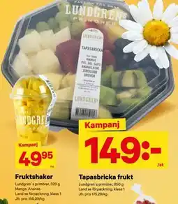 City Gross Tapasbricka frukt erbjuda