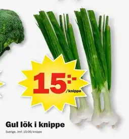 Pekås Gul lök i knippe erbjuda