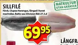 Matvärlden Tensta SILLFILÉ erbjuda