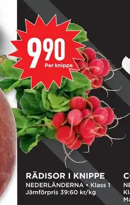 Willys Hemma RÄDISOR I KNIPPE erbjuda