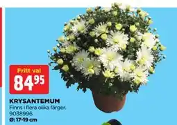 Jem&Fix KRYSANTEMUM erbjuda