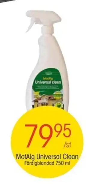 MotAlg Universal Clean