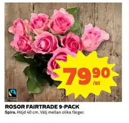 Stora Coop ROSOR FAIRTRADE 9-PACK erbjuda