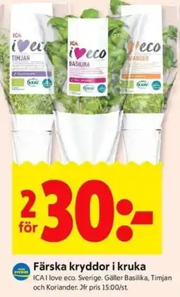 ICA Kvantum Färska kryddor i kruka erbjuda