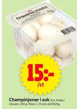 ICA Supermarket ICA Champinjoner i ask erbjuda