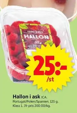 ICA Supermarket ICA Hallon i ask erbjuda