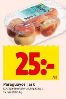 ICA Kvantum ICA Paraguayos i ask erbjuda
