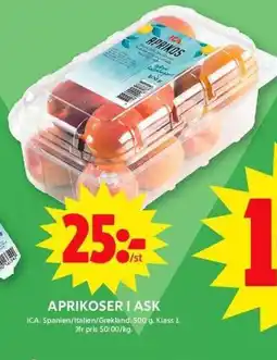 ICA Maxi ICA Aprikoser i ask erbjuda