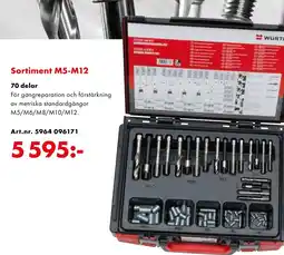 Würth Sortiment M5-M12 70 delar erbjuda