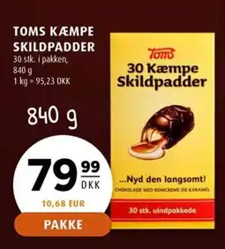 Scandinavian Park TOMS KÆMPE SKILDPADDER erbjuda