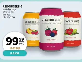 Scandinavian Park REKORDERLIG erbjuda