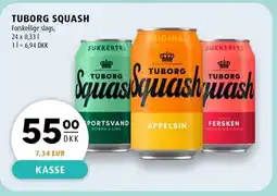 Scandinavian Park TUBORG SQUASH erbjuda
