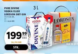 Scandinavian Park PURE DIVINE VODKA ELLER LORDSON DRY GIN erbjuda
