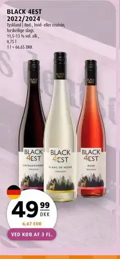 Scandinavian Park BLACK 4EST 2022/2024 erbjuda