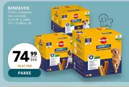 Scandinavian Park DENTASTIX erbjuda
