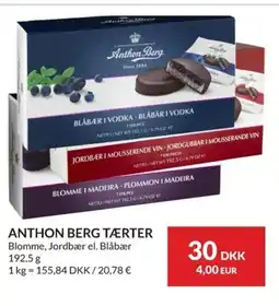 Nielsen Discount ANTHON BERG TÆRTER erbjuda