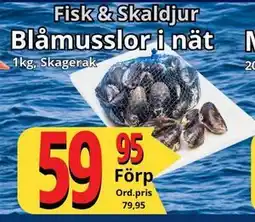 Supergrossen Blåmusslor i nät, SEK 59.95 erbjuda