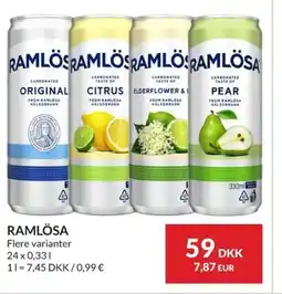 Nielsen Discount RAMLÖSA erbjuda