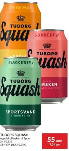 Nielsen Discount TUBORG SQUASH erbjuda