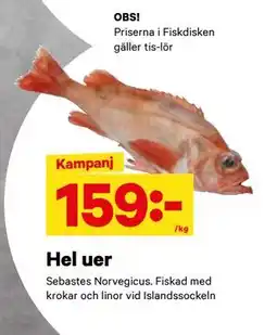 City Gross Hel uer, SEK 159 erbjuda