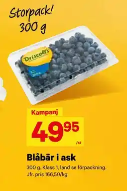 City Gross Blåbär i ask, SEK 49.95 erbjuda