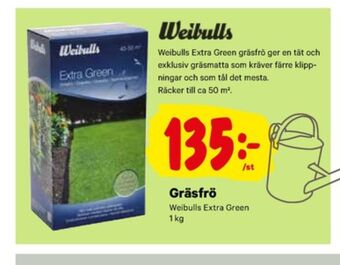 City Gross Weibull Gräsfrö erbjuda