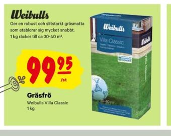City Gross Weibull Gräsfrö erbjuda