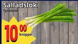 Supergrossen Salladslök, SEK 10 erbjuda