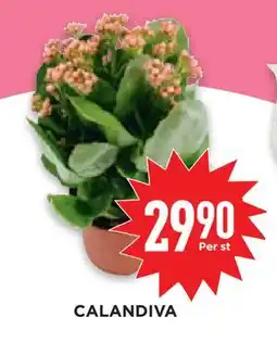 Willys Hemma CALANDIVA, SEK 29.9 erbjuda