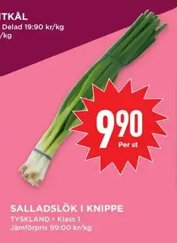 Willys SALLADSLÖK I KNIPPE, SEK 9.9 erbjuda