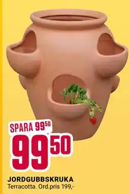 ÖoB JORDGUBBSKRUKA, SEK 99.5 erbjuda
