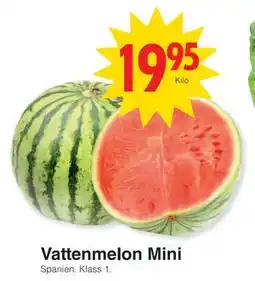 Matöppet Vattenmelon Mini, SEK 19.95 erbjuda