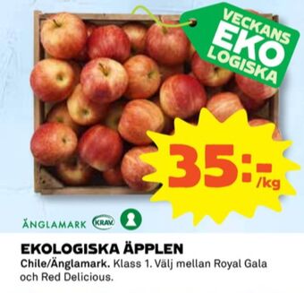 Coop Änglamark Äpplen erbjuda