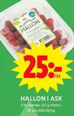 ICA Maxi ICA Hallon i ask erbjuda