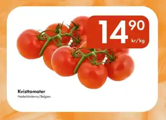 Snabbgross Kvisttomater erbjuda