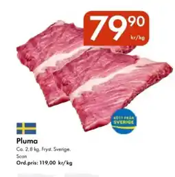 Snabbgross Pluma erbjuda