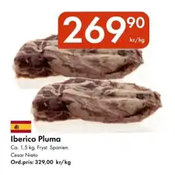 Snabbgross Iberico pluma erbjuda