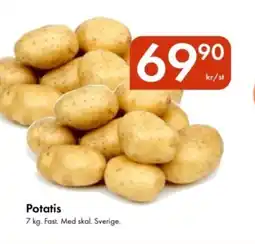 Snabbgross Potatis erbjuda