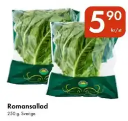 Snabbgross Romansallad erbjuda