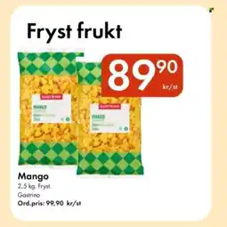 Snabbgross GASTRINO Mango erbjuda