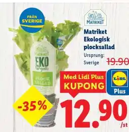 Lidl Matriket Ekologisk plocksallad erbjuda