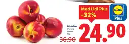 Lidl Nektariner erbjuda