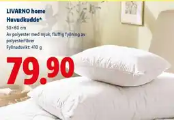 Lidl LIVARNO home Huvudkudde erbjuda