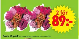 ICA Supermarket ROSOR 10-PACK erbjuda