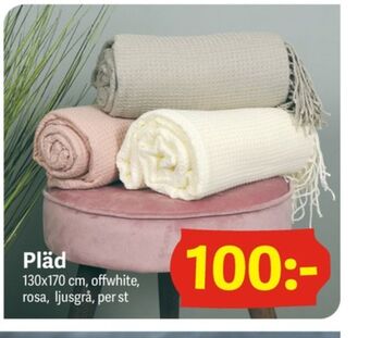 DollarStore Pläd erbjuda