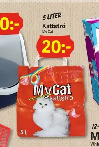My Cat Kattströ
